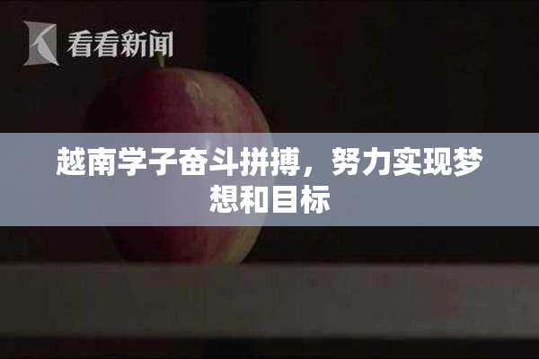 越南学子奋斗拼搏，努力实现梦想和目标