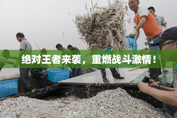 绝对王者来袭，重燃战斗激情！