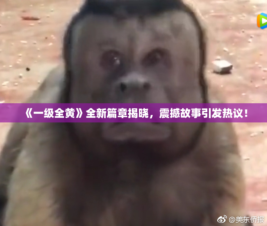 《一级全黄》全新篇章揭晓，震撼故事引发热议！