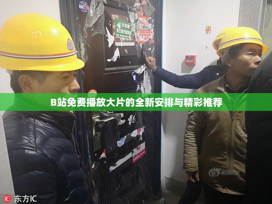 B站免费播放大片的全新安排与精彩推荐