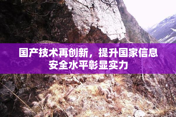 国产技术再创新，提升国家信息安全水平彰显实力