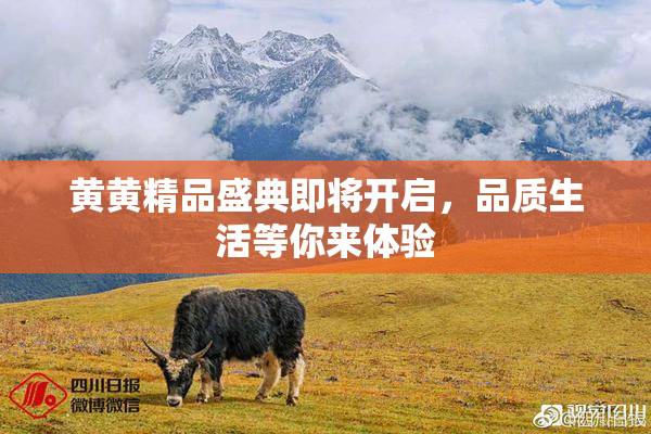 黄黄精品盛典即将开启，品质生活等你来体验