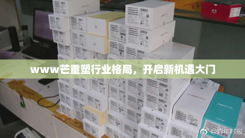 www芒重塑行业格局，开启新机遇大门