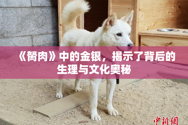 《胬肉》中的金银，揭示了背后的生理与文化奥秘