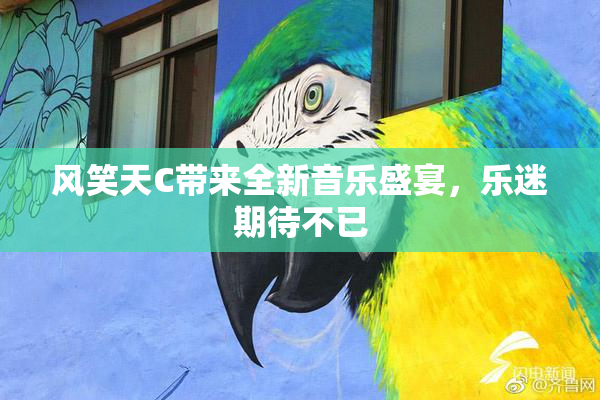 风笑天C带来全新音乐盛宴，乐迷期待不已