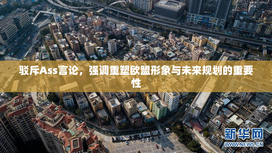 驳斥Ass言论，强调重塑欧盟形象与未来规划的重要性