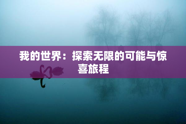 我的世界：探索无限的可能与惊喜旅程