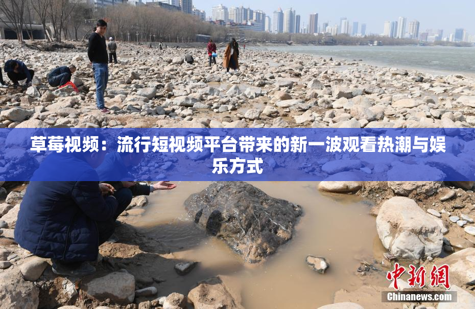 草莓视频：流行短视频平台带来的新一波观看热潮与娱乐方式