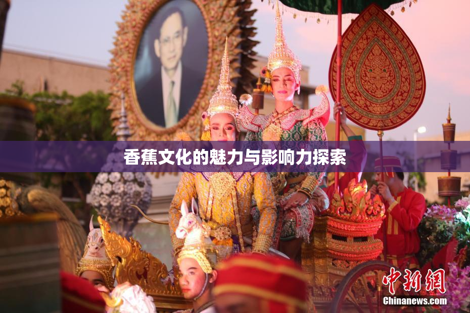 香蕉文化的魅力与影响力探索