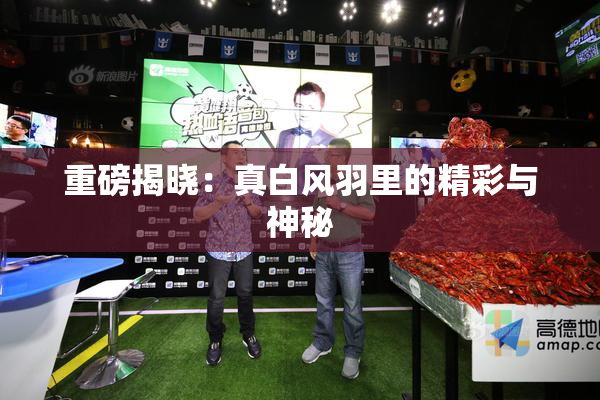 重磅揭晓：真白风羽里的精彩与神秘