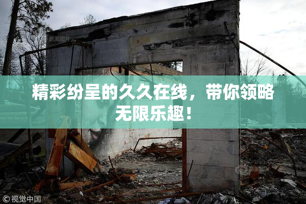 精彩纷呈的久久在线，带你领略无限乐趣！