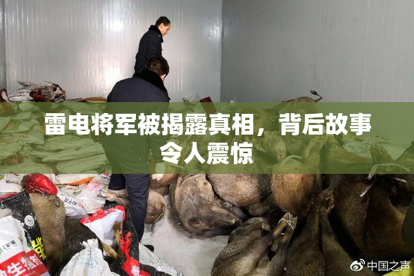 雷电将军被揭露真相，背后故事令人震惊