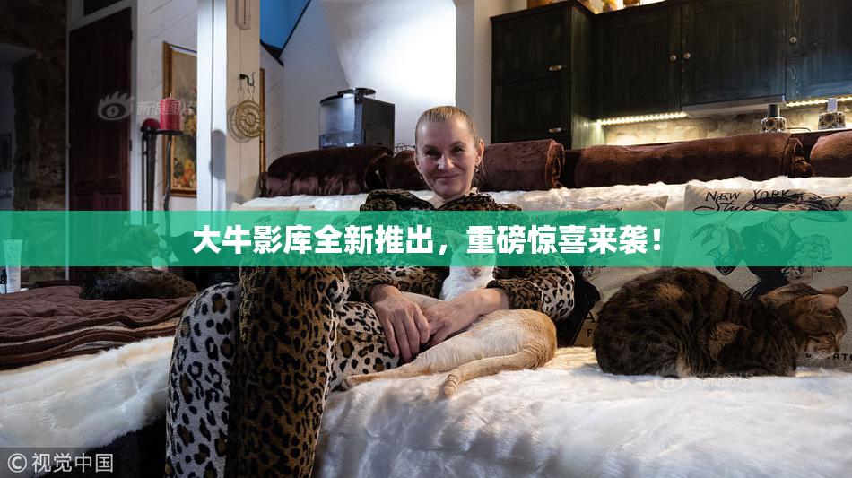 大牛影库全新推出，重磅惊喜来袭！