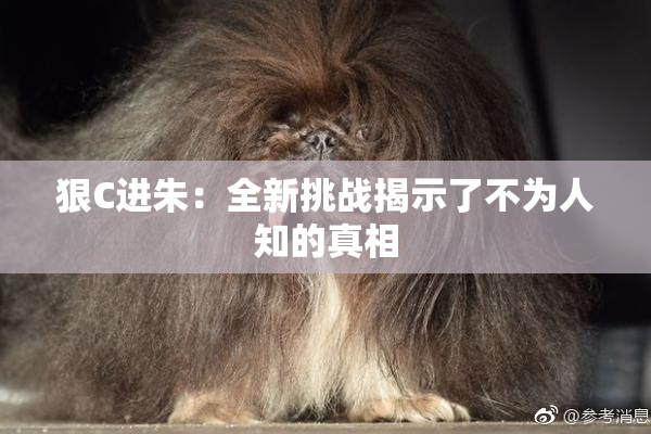 狠C进朱：全新挑战揭示了不为人知的真相