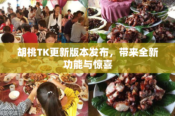 胡桃TK更新版本发布，带来全新功能与惊喜