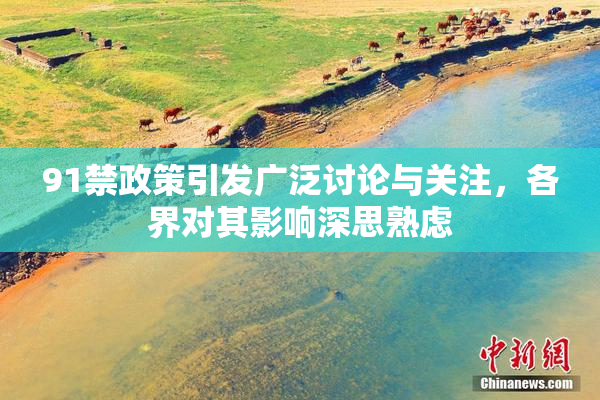 91禁政策引发广泛讨论与关注，各界对其影响深思熟虑