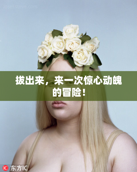 拔出来，来一次惊心动魄的冒险！
