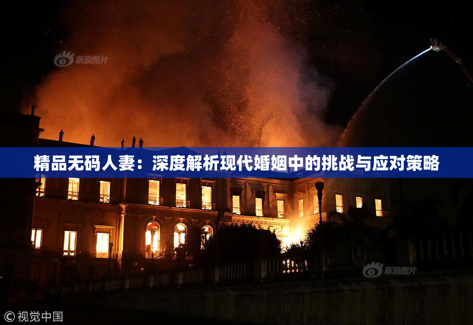 精品无码人妻：深度解析现代婚姻中的挑战与应对策略