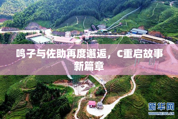 鸣子与佐助再度邂逅，C重启故事新篇章