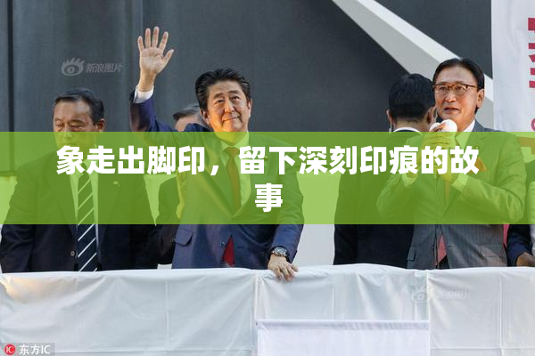 象走出脚印，留下深刻印痕的故事