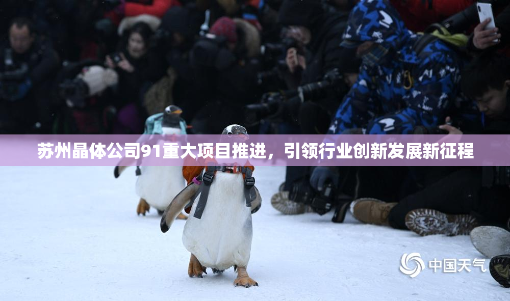苏州晶体公司91重大项目推进，引领行业创新发展新征程