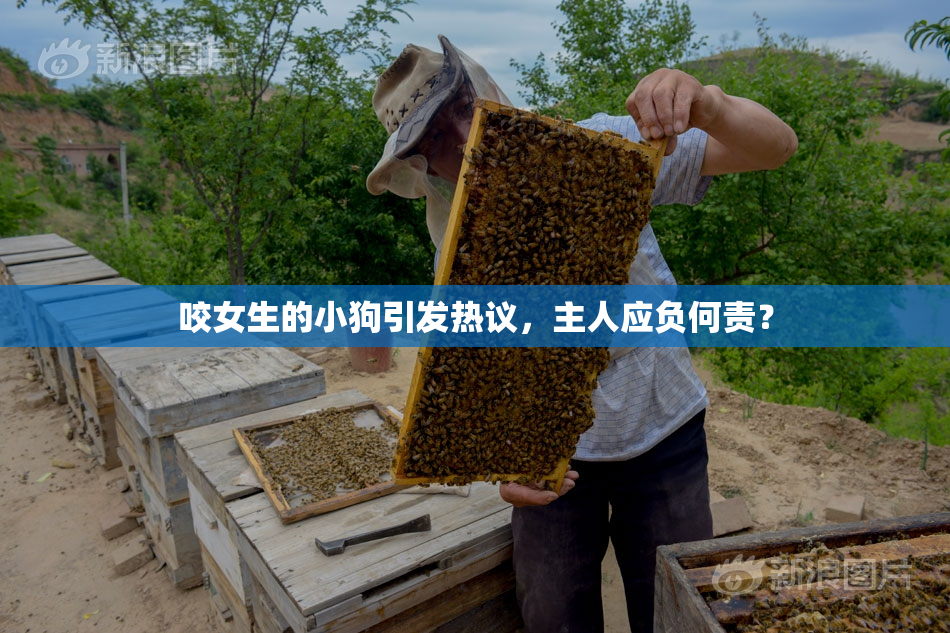 咬女生的小狗引发热议，主人应负何责？