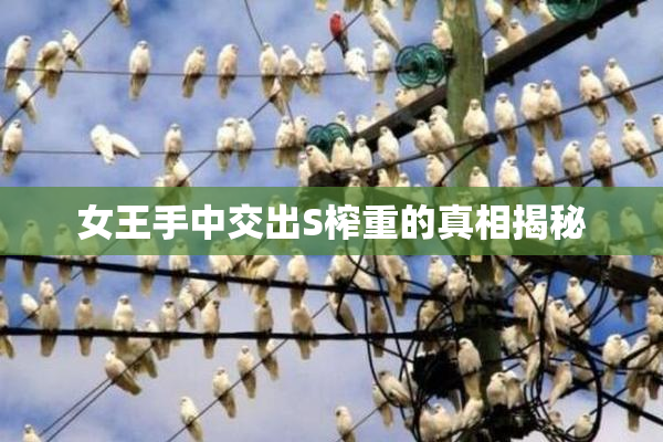 女王手中交出S榨重的真相揭秘
