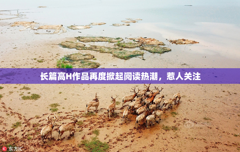 长篇高H作品再度掀起阅读热潮，惹人关注