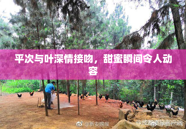 平次与叶深情接吻，甜蜜瞬间令人动容