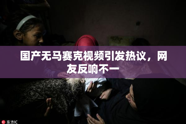 国产无马赛克视频引发热议，网友反响不一