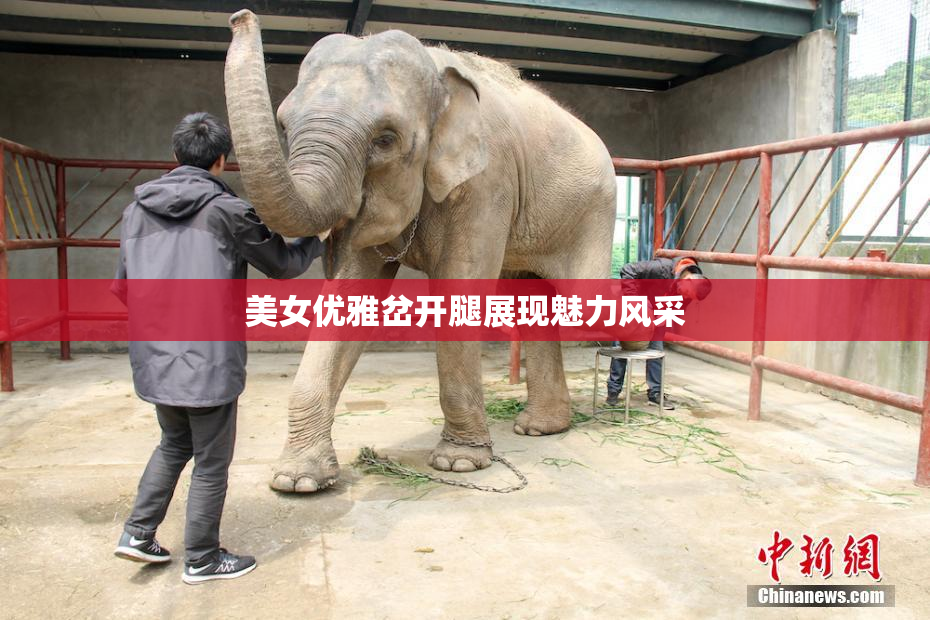 美女优雅岔开腿展现魅力风采