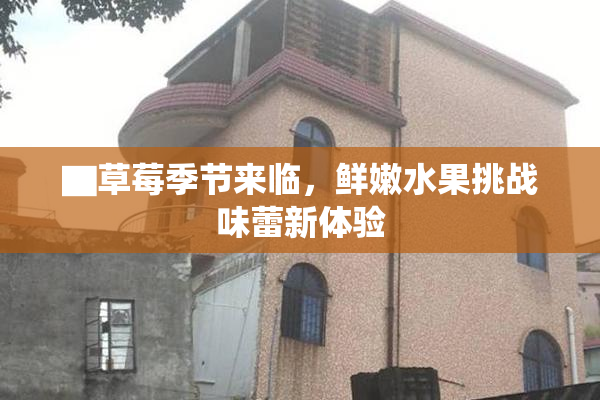 ▇草莓季节来临，鲜嫩水果挑战味蕾新体验