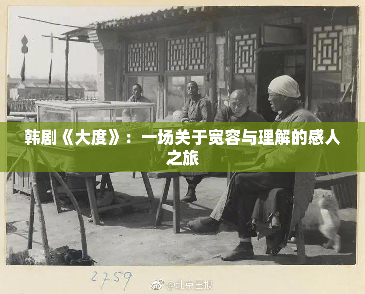 韩剧《大度》：一场关于宽容与理解的感人之旅