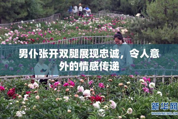 男仆张开双腿展现忠诚，令人意外的情感传递
