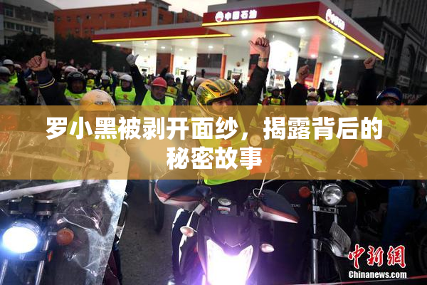 罗小黑被剥开面纱，揭露背后的秘密故事