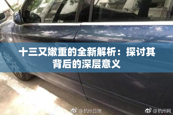 十三又嫩重的全新解析：探讨其背后的深层意义