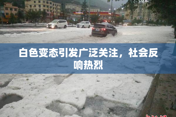 白色变态引发广泛关注，社会反响热烈