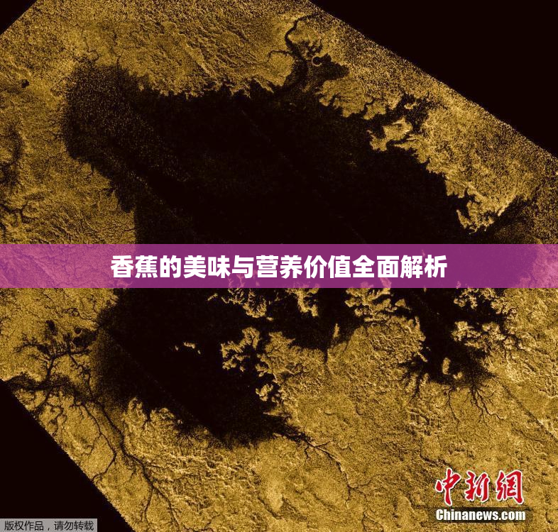 香蕉的美味与营养价值全面解析