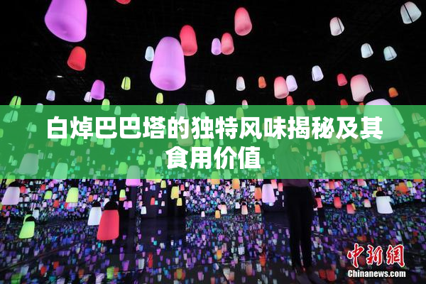 白焯巴巴塔的独特风味揭秘及其食用价值