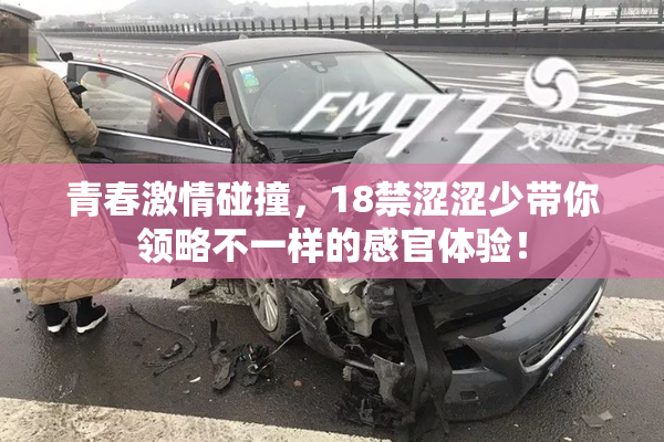青春激情碰撞，18禁涩涩少带你领略不一样的感官体验！