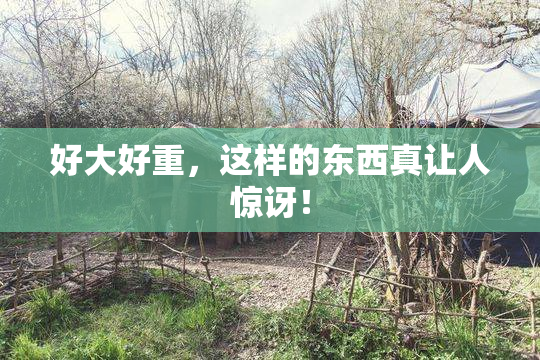 好大好重，这样的东西真让人惊讶！