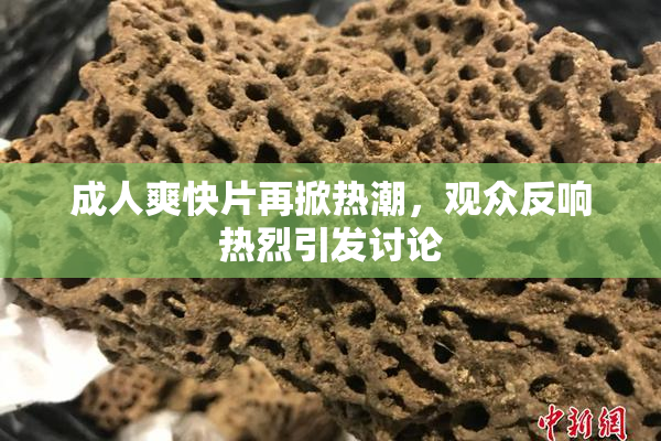 成人爽快片再掀热潮，观众反响热烈引发讨论