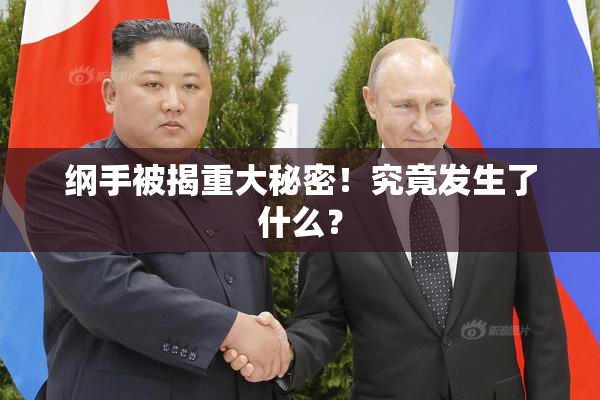 纲手被揭重大秘密！究竟发生了什么？