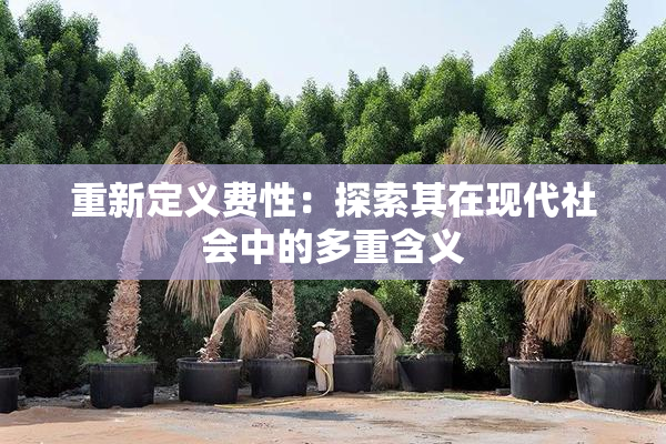 重新定义费性：探索其在现代社会中的多重含义