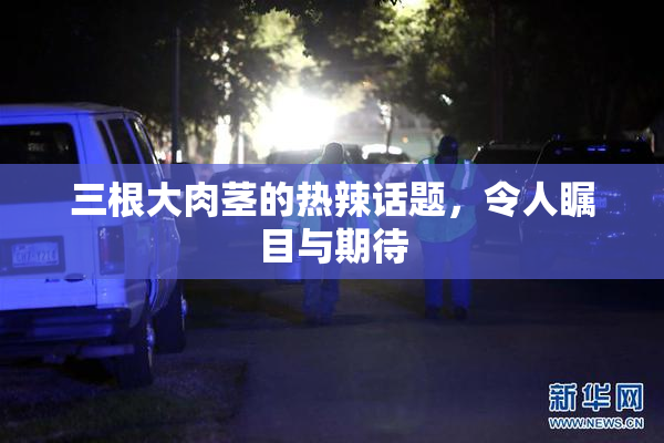 三根大肉茎的热辣话题，令人瞩目与期待
