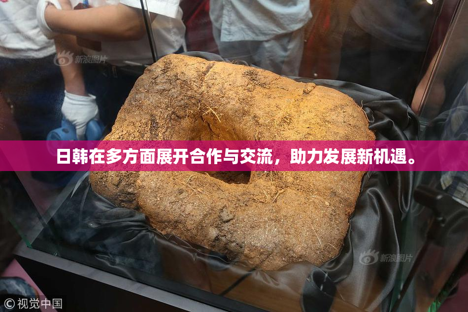 日韩在多方面展开合作与交流，助力发展新机遇。