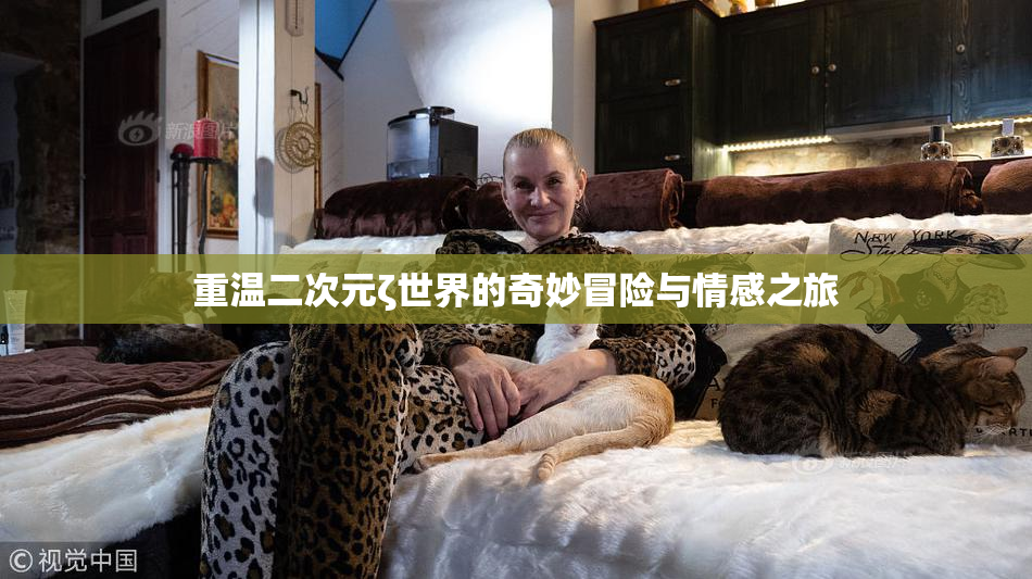 重温二次元ζ世界的奇妙冒险与情感之旅