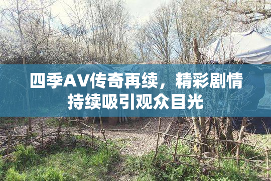 四季AV传奇再续，精彩剧情持续吸引观众目光