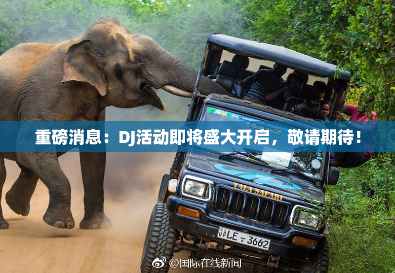 重磅消息：DJ活动即将盛大开启，敬请期待！