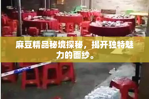 麻豆精品秘境探秘，揭开独特魅力的面纱。